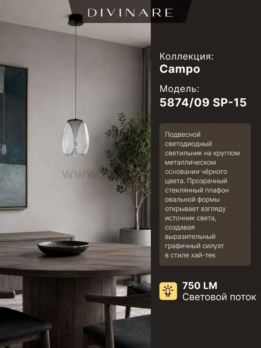 Светильник подвесной Divinare 5874/09 SP-15 CAMPO