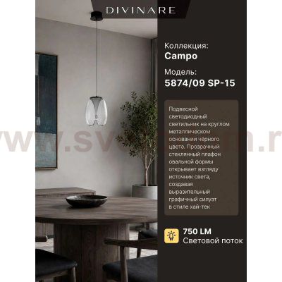 Светильник подвесной Divinare 5874/09 SP-15 CAMPO