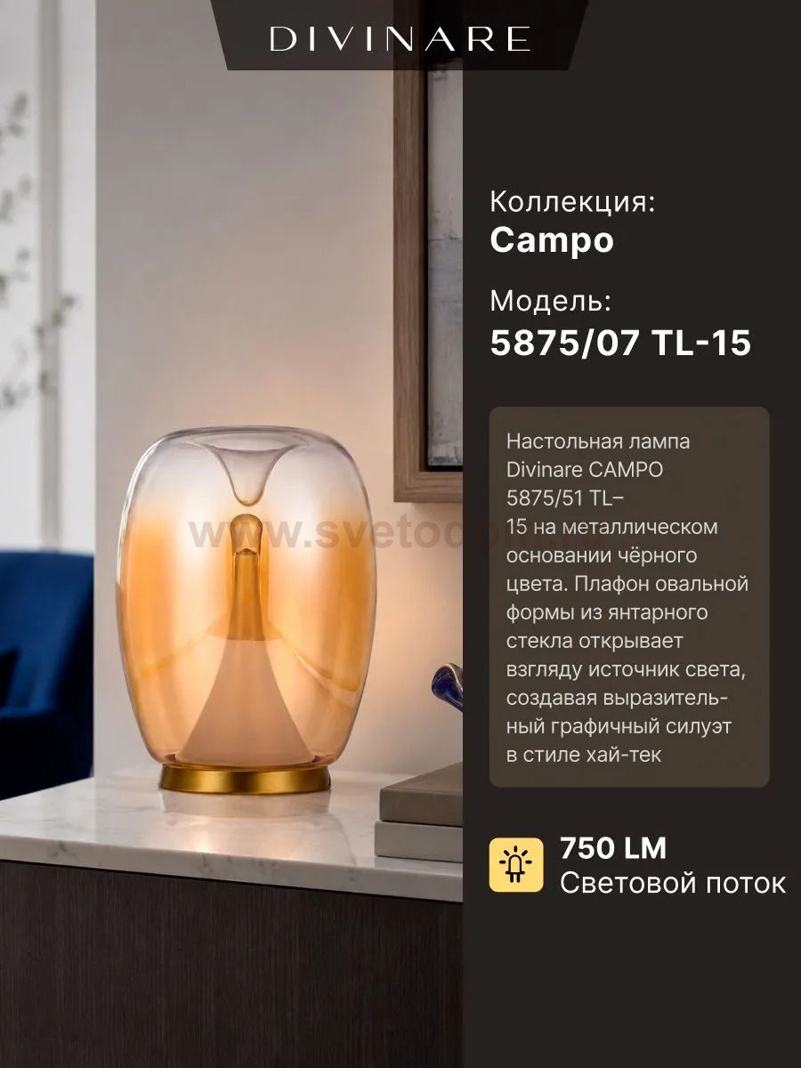 Настольная лампа Divinare 5875/07 TL-15 CAMPO