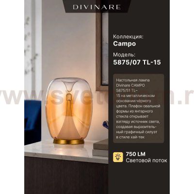 Настольная лампа Divinare 5875/07 TL-15 CAMPO