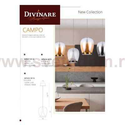 Светильник подвесной Divinare 5875/09 SP-15 CAMPO