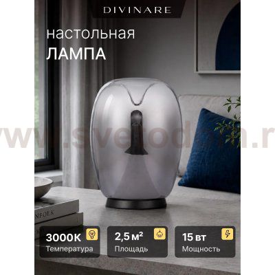 Настольная лампа Divinare 5875/51 TL-15 CAMPO