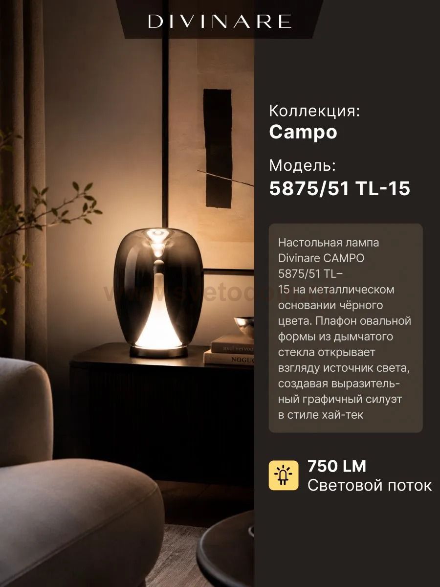 Настольная лампа Divinare 5875/51 TL-15 CAMPO