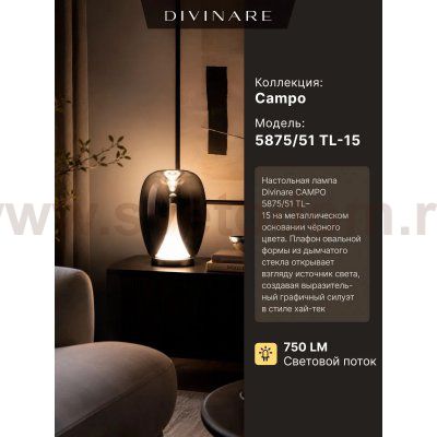Настольная лампа Divinare 5875/51 TL-15 CAMPO
