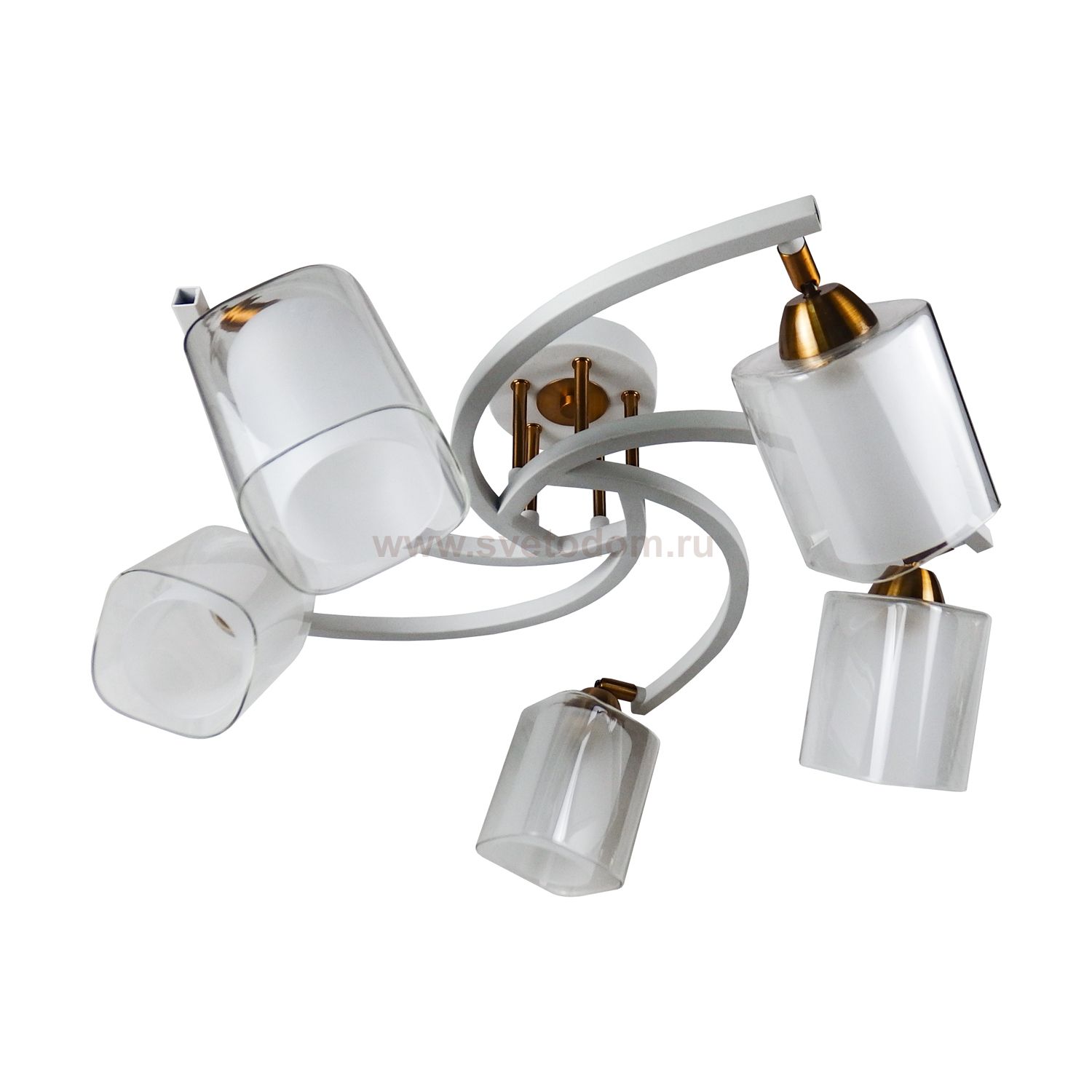 Потолочный светильник Экономсвет 58917/5FGD+WT WT+CL