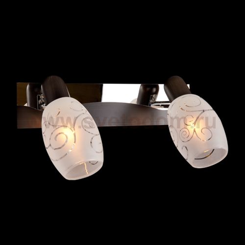 Светильник Eurosvet 60301/2 хром