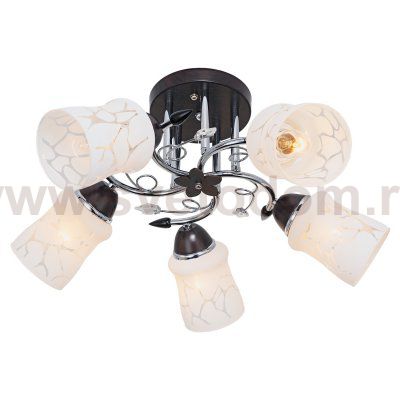 Потолочный светильник Экономсвет 6037M/5CR+BR WT