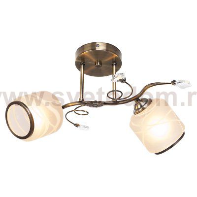 Потолочный светильник Экономсвет 6103M/2AB WT