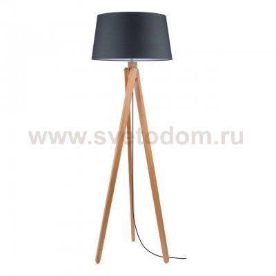 Торшер Spot Light Rune 6224170