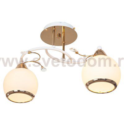 Потолочный светильник Экономсвет 6260/2FGD WT