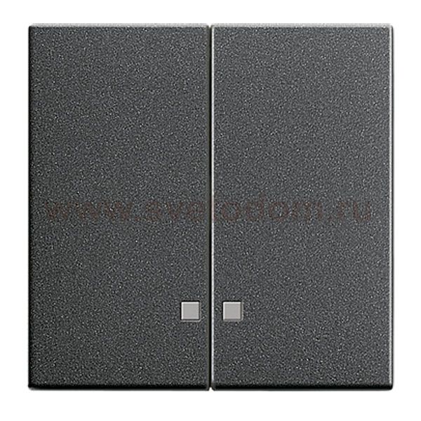 Gira S-55 Антрацит Клавиша 2-ая с линзами подсветки (G63128)