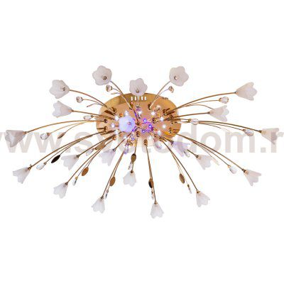 Светильник ЭкономСвет 6329/21FGD RC WTBLLED