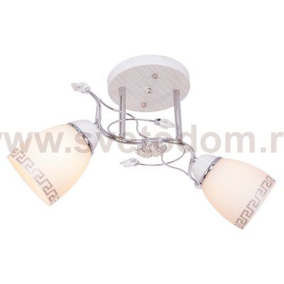 Люстра эконом Экономсвет 636GM/2CR WT