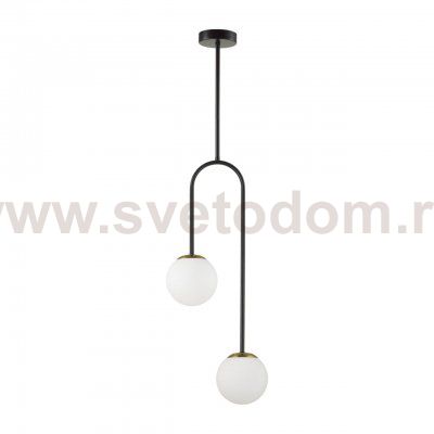 Потолочный светильник Lumion 6500/2C MODERNI