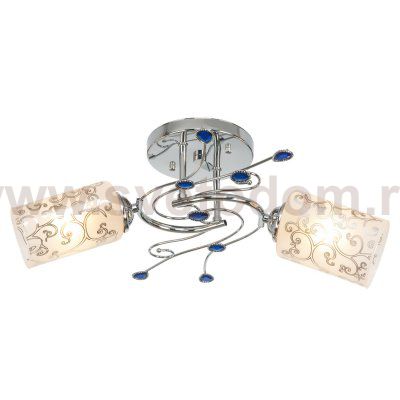 Потолочный светильник Экономсвет 6519/2B CH+BL