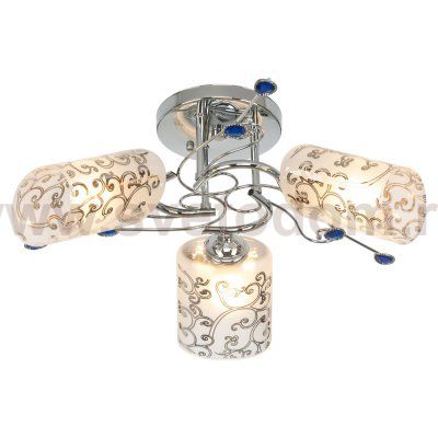 Потолочный светильник Экономсвет 6519/3B CH+BL