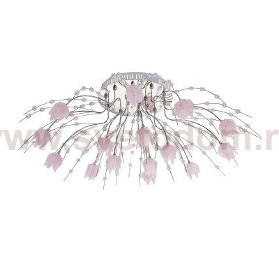 Потолочный светильник Экономсвет 6549/15CR RC PURLED