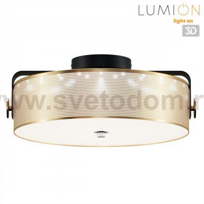 Потолочный светильник Lumion 6597/40L DRUMY