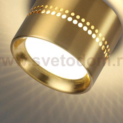 Odeon Light 6607/1C 