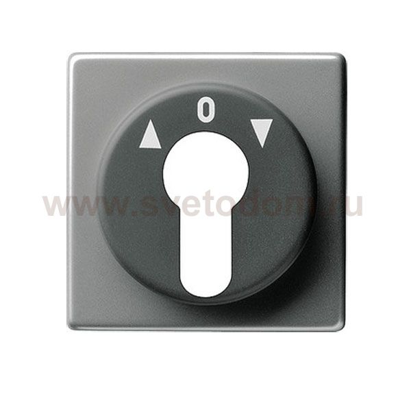 Gira E22 Сталь Накладка выключателя с ключом (G66420)