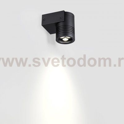Фасадный светильник Odeon Light 6648/6WL NATURE