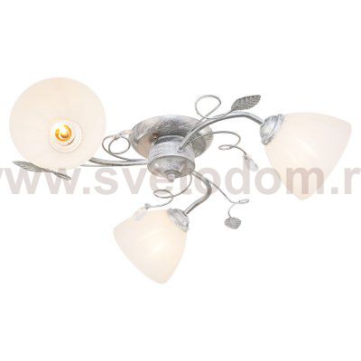 Потолочный светильник Экономсвет 6711K/3