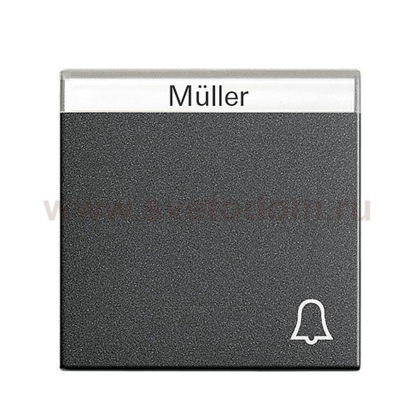 Gira S-55 Антрацит Клавиша с полем для надписи и символом 