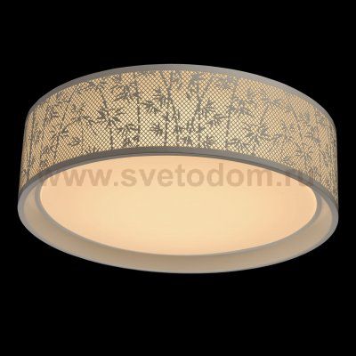 Mw light 674016101 Светильник