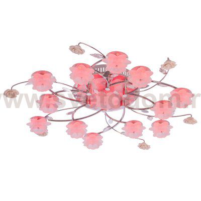 Потолочный светильник Экономсвет 6869/13CR RC RBPLED