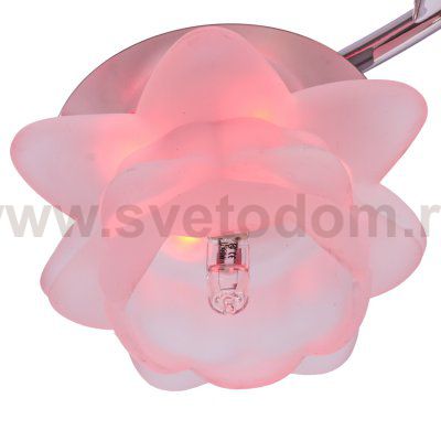 Потолочный светильник Экономсвет 6869/13CR RC RBPLED