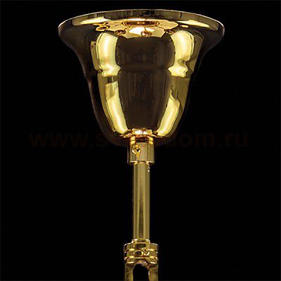 Люстра подвесная Lightstar 695062 Melagro