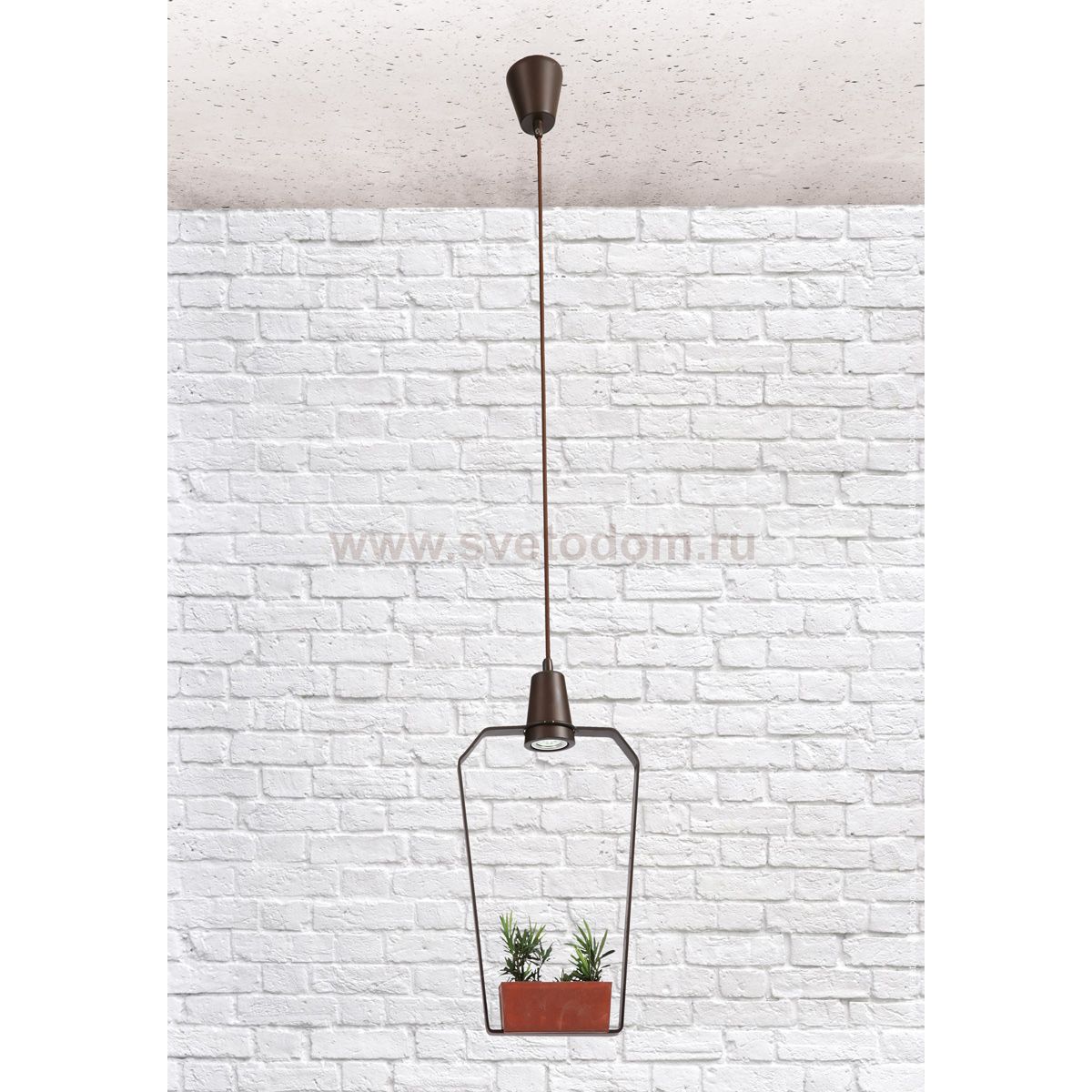 Ретро светильник Loft it 6951/1В