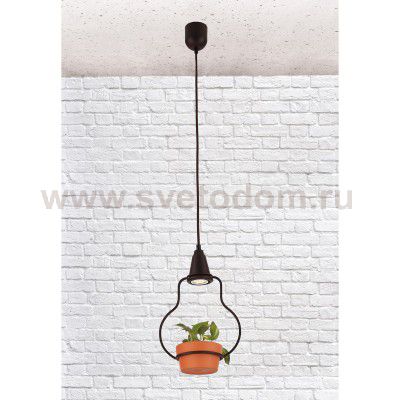 Ретро светильник Loft it 6969/1А