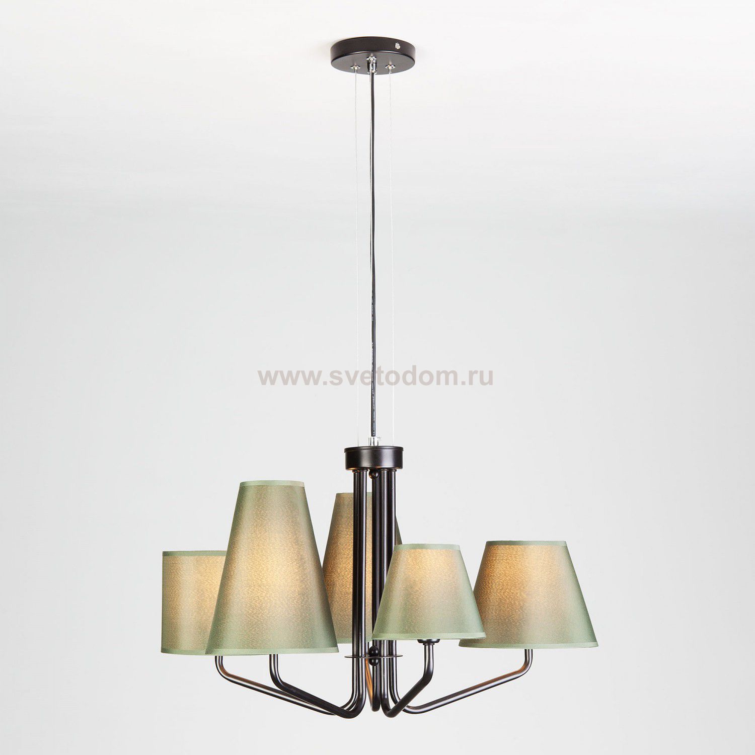 Светильник Eurosvet 70074/5 черный