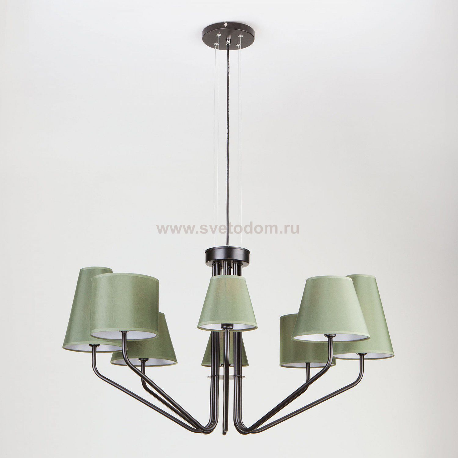 Светильник Eurosvet 70074/8 черный