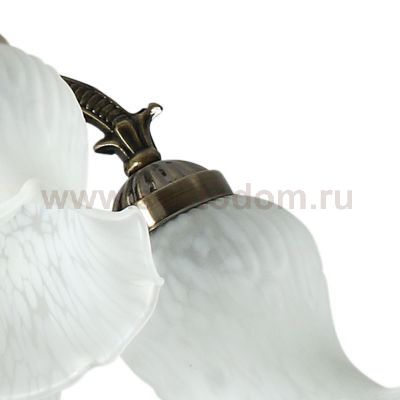 Люстра Colosseo 70106/6 Genrietta