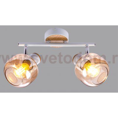 Светильник настенно-потолочный спот Rivoli Kalisto 7025-702 2 х E14 40 Вт поворотный
