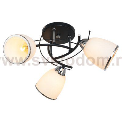 Потолочный светильник Экономсвет 7031/3BK+CH WT