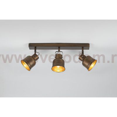 Светильник настенно-потолочный спот Rivoli Inessa 7035-703 3 х Е27 40 Вт поворотный