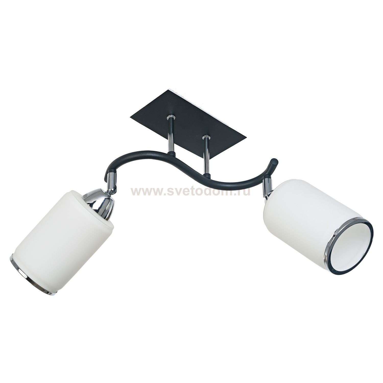Потолочный светильник Экономсвет 7043/2BK+CH WT