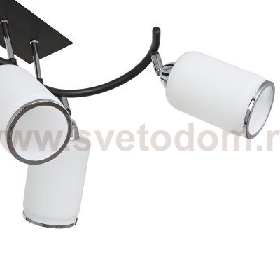 Потолочный светильник Экономсвет 7043/4BK+CH WT