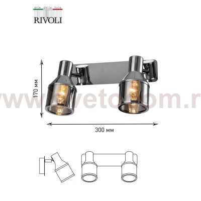 Светильник настенно-потолочный спот Rivoli Elektra 7046-702 поворотный 2 х E14 40 Вт