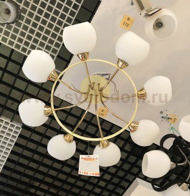 Люстра Colosseo 70823/8С