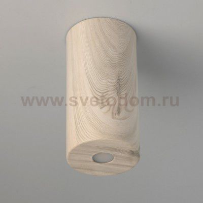 Светильник потолочный De Markt 712010901 Иланг