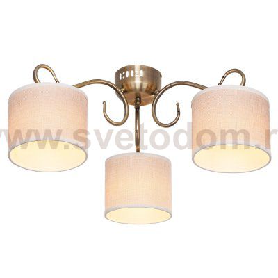 Потолочный светильник Экономсвет 7132/3AB BGE