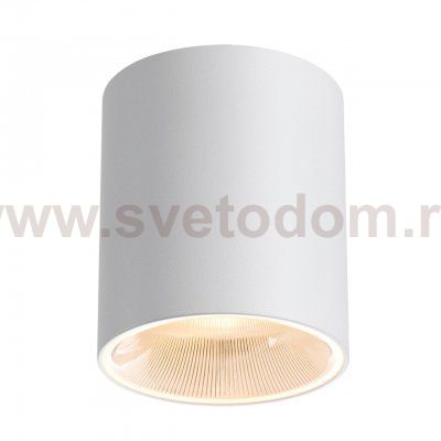 Накладные потолочные светильники Odeon light 7139/12CL BRIM