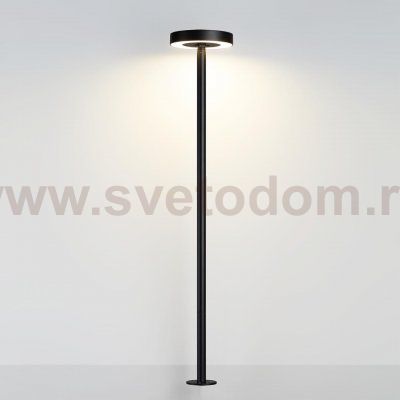 Ландшафтный светильник Odeon light 7189/6GLA DISC