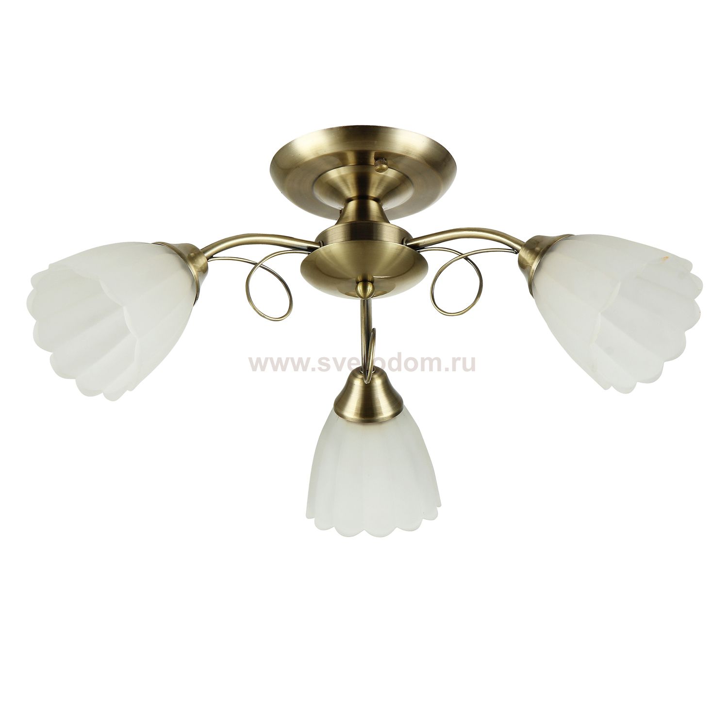 Светильник Colosseo 72119/3C optima