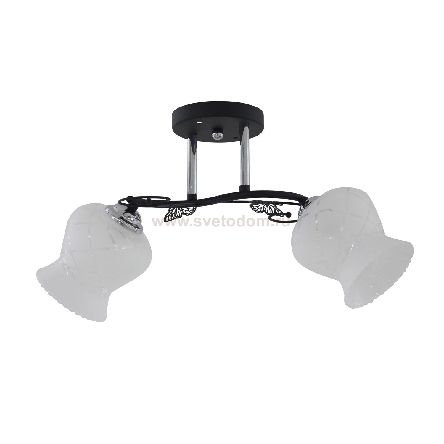 Люстра на 2 лампы Colosseo 73038/2C черный/хром