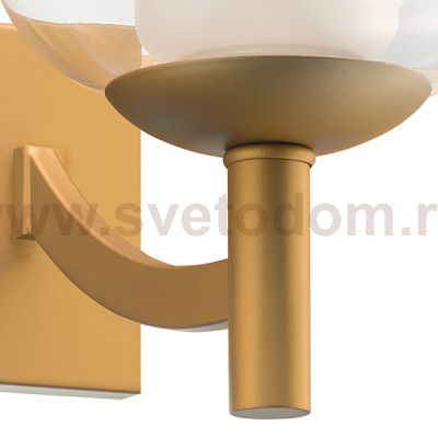 Светильник бра Lightstar 730623 Fiamma